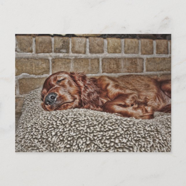 Charm Postcard (Front)