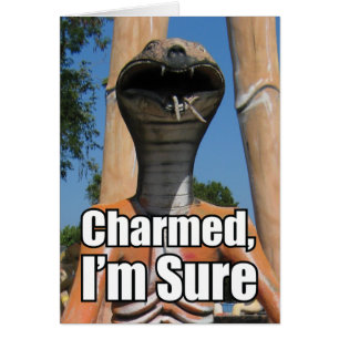 Charmed, I'm Sure MEME Card