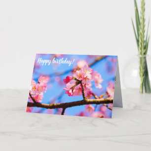 Charming Beauty Of Sakura Flowers In Springtime Card