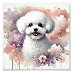 Charming Bichon Frise Watercolor Prin Photo Print