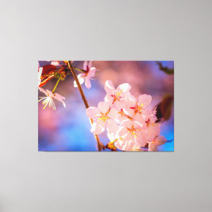 Charming Bunch Of Sakura Flowers In Spring Canvas Print