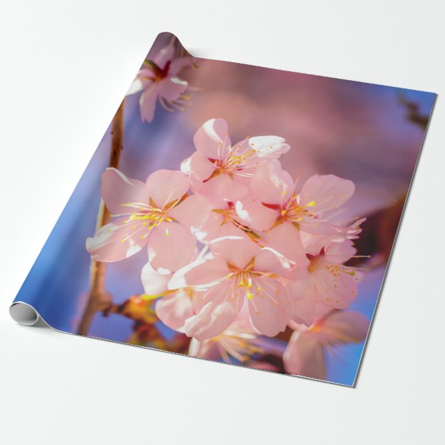 Charming Bunch Of Sakura Flowers In Spring Wrapping Paper (Unrolled)