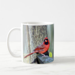 Charming Cardinals (Male & Female) Mug