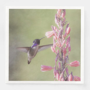 Charming Costa's Hummingbird Napkin