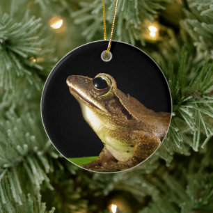 Charming Frog on a Lily Pad, Water Lily Ceramic Tree Decoration