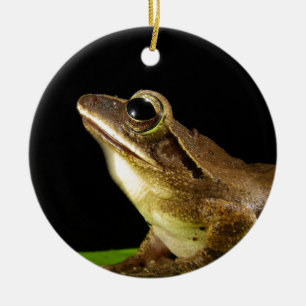 Charming Frog on a Lily Pad, Water Lily Ceramic Tree Decoration