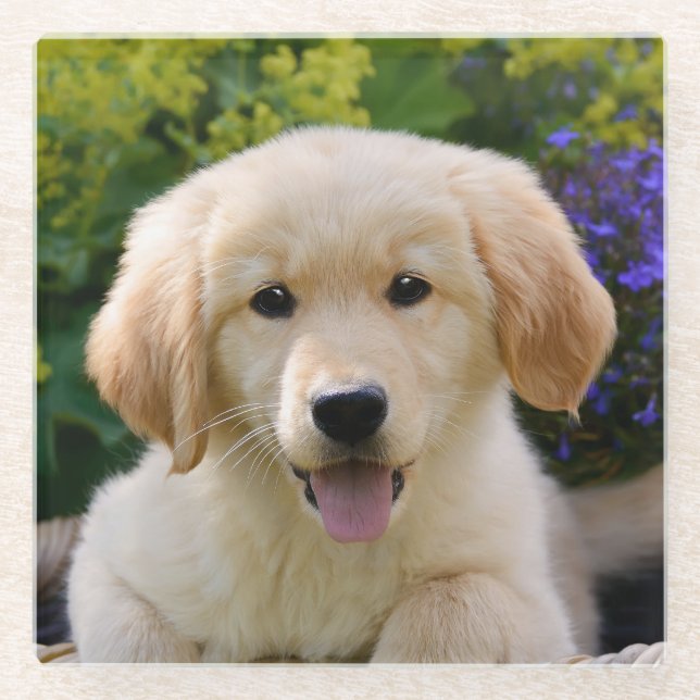 Charming Goldie Dog Puppy Cute Photo, Table-Decor Glass Coaster (Front)