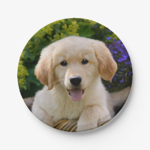 Charming Goldie Dog Puppy Portrait, party Paper Plate