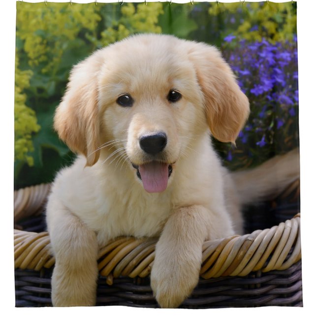 Charming Goldie Dog Puppy Shower Curtain (Front)