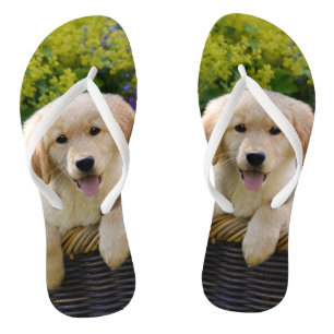 Charming Goldie Retriever Dog Puppy Photo Portrait Flip Flops