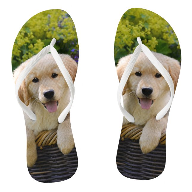 Charming Goldie Retriever Dog Puppy Photo Portrait Flip Flops (Footbed)