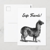Charming Llama Sketch, Cute Animal Ink Drawing