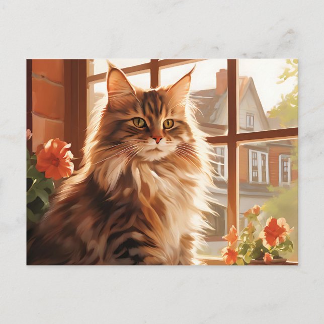 Charming Maine Coon Cat Postcard (Front)