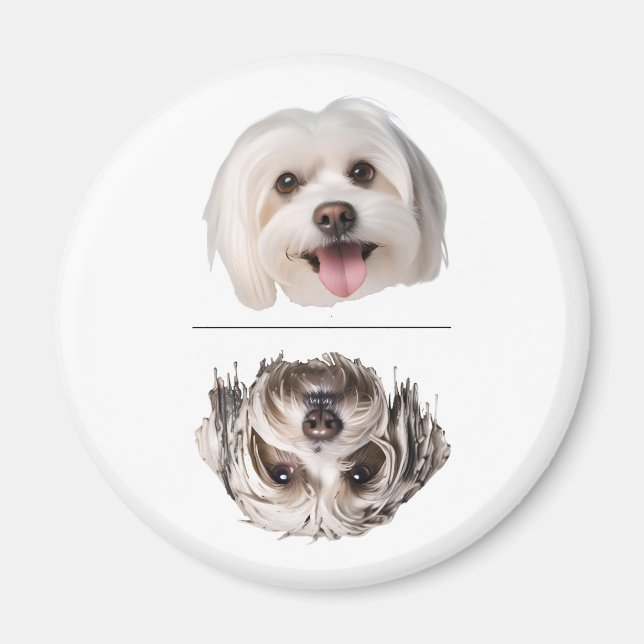 Charming Maltese Dog Dishwasher Clean/Dirty Magnet (Front)
