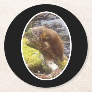 Charming Pine Marten Calm Woodland Animal Portrait Round Paper Coaster