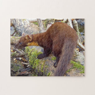 Charming Pine Marten Woodland Scene Nature Jigsaw Puzzle