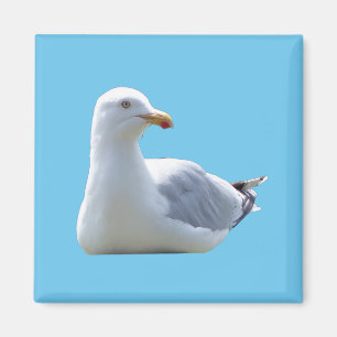 Charming Seagull Resting Coastal Blue Sky Design Magnet