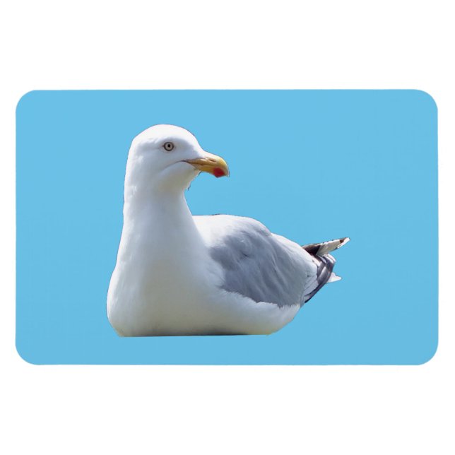 Charming Seagull Resting Peaceful Blue Scene  Magnet (Horizontal)