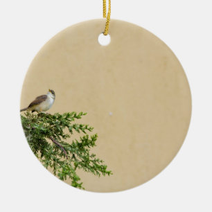 Charming Sparrow Bird Photograph Ceramic Tree Decoration