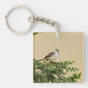 Charming Sparrow Bird Photograph Key Ring