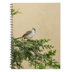Charming Sparrow Bird Photograph Notebook
