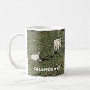 Charolais cow and calves mug