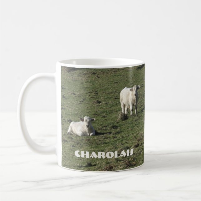 Charolais cow and calves mug (Left)