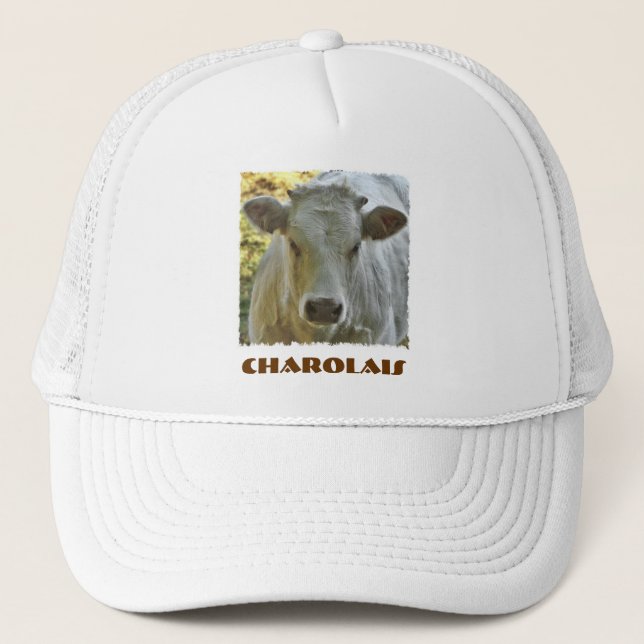 Charolais hat (Front)