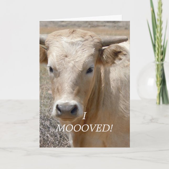 Charolais White Cow - Western Change of Address Announcement (Front)