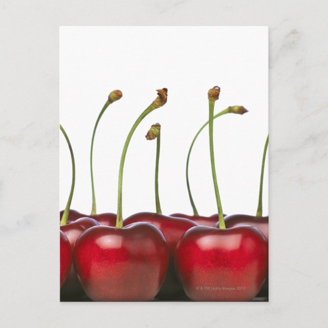 Charries shot in the foreground of the postcard (Front)