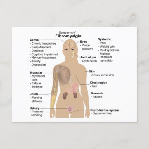 Chart Common Signs and Symptoms of Fibromyalgia Postcard