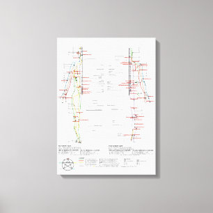 Chart of Human Meridians Canvas Print