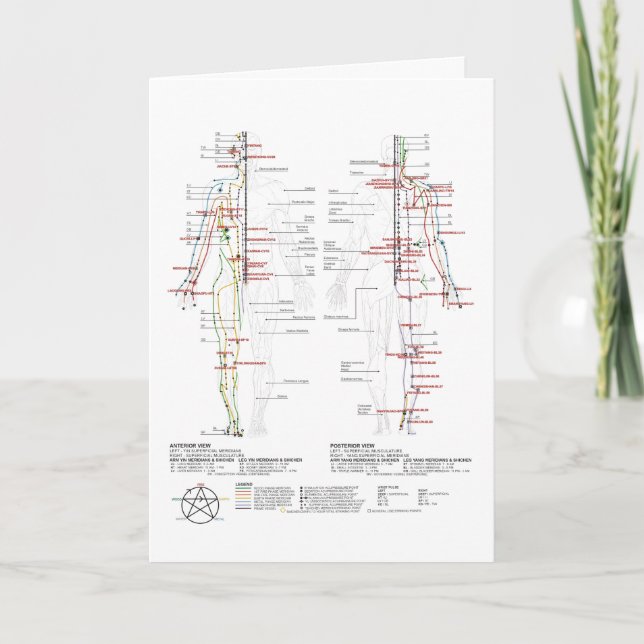 Chart of Human Meridians Card (Front)