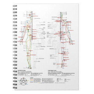 Chart of Human Meridians Notebook