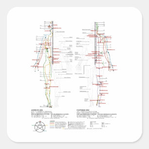 Chart of Human Meridians Square Sticker