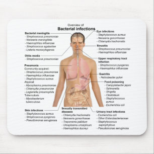 Chart of the bacterial infections in Humans  Mouse Mat