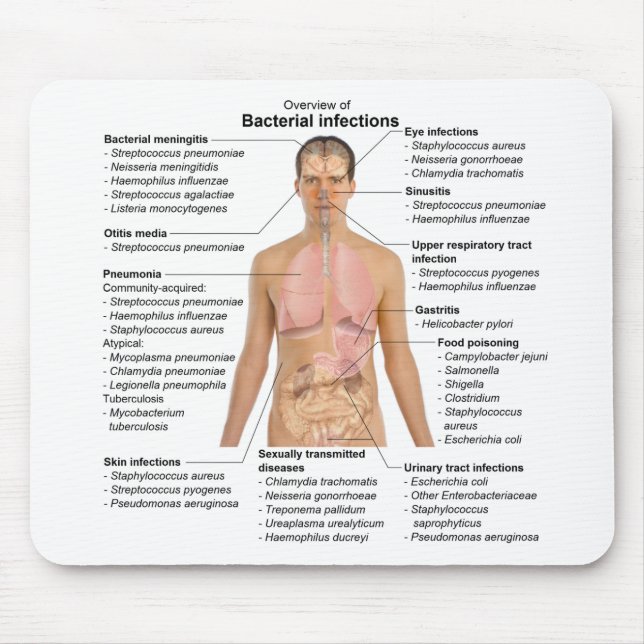 Chart of the bacterial infections in Humans  Mouse Mat (Front)