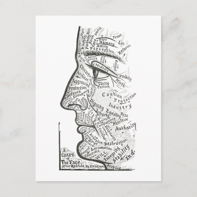 "Chart of the Face" for Personality Assessment Postcard (Front)