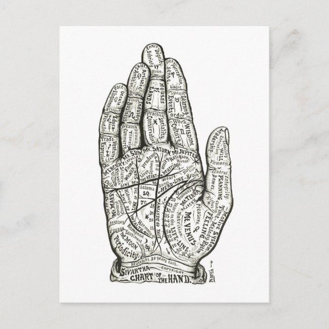 "Chart of the Hand" for Palm Reading / Palmistry Postcard (Front)