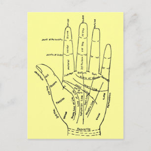 Chart of the Hand Postcard