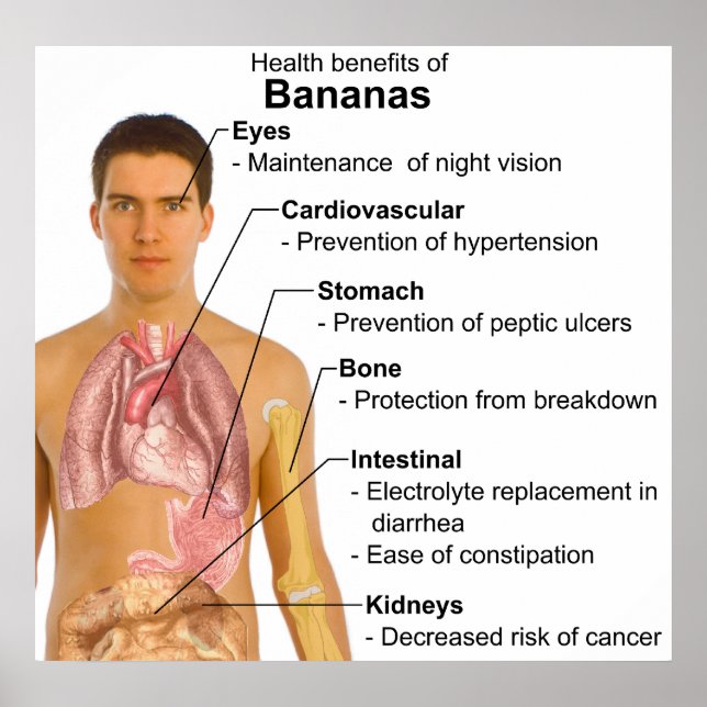 Chart of the Health Benefits of Banana Consumption (Front)