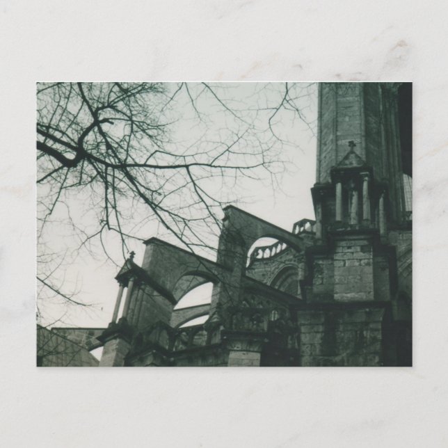 Chartres Cathedral (Notre Dame de Chartres) Postcard (Front)