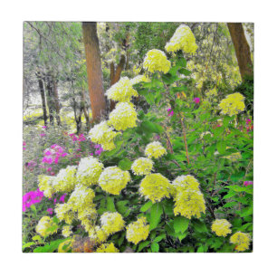 Chartreuse Green Limelight Hydrangea Garden Tile