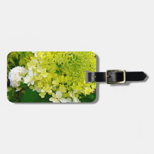 Chartreuse Green, Limelight Hydrangea, Luggage Tag