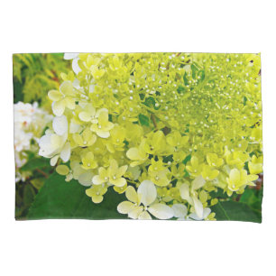 Chartreuse Green, Limelight Hydrangea, Pillowcase