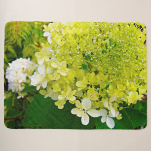 Chartreuse Green, Limelight Hydrangea, Sherpa Blanket