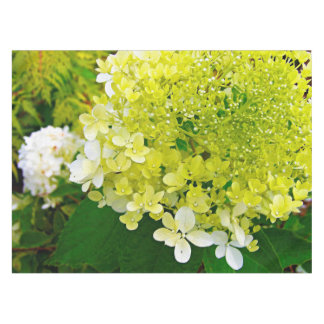 Chartreuse Green, Limelight Hydrangea, Tablecloth
