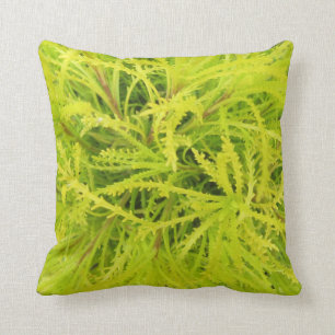 CHARTREUSE! Pillow