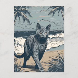 Chartreux-Cat at a tropical beach during sunset Postcard