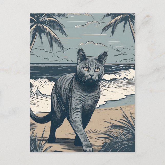 Chartreux-Cat at a tropical beach during sunset Postcard (Front)